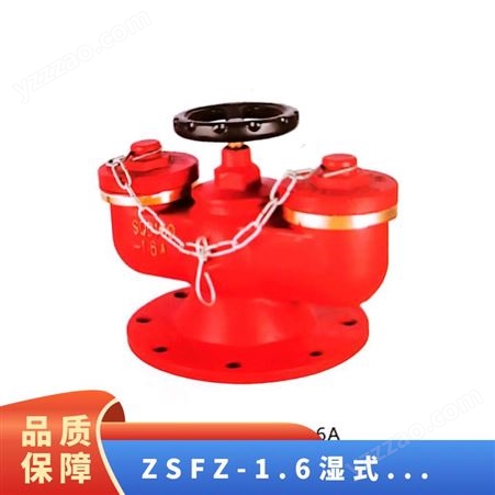 冠龙消防 ZSFZ-1.6湿式报警阀法兰多用式水泵接合器