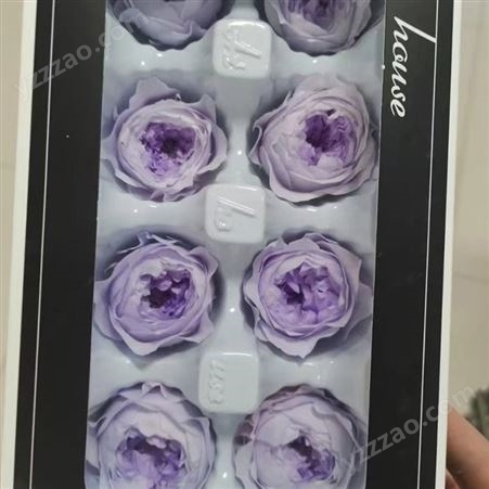 永生玫瑰花 一盒8朵 各色干花 装饰花卉 手工鲜花 基地发货