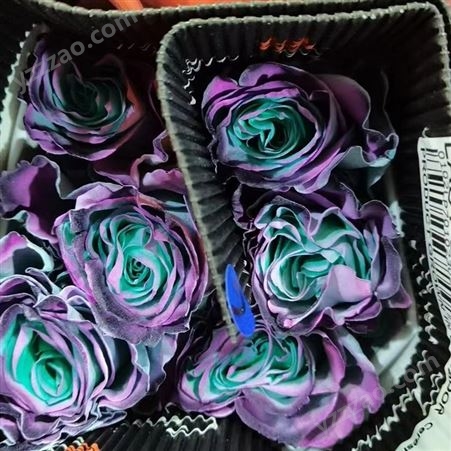 厄瓜多爾進口 彩色玫瑰花批發 彩玫 各種顏色 款式齊全 干花