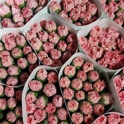云南教师节花束订购 康乃馨价格 鲜花供应商 鲜花基地直发