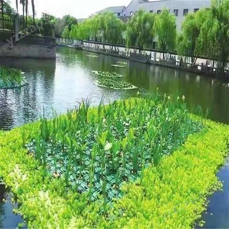 浮床生态浮岛生产厂家 可否定做是 适用于水体绿化 观叶植 物